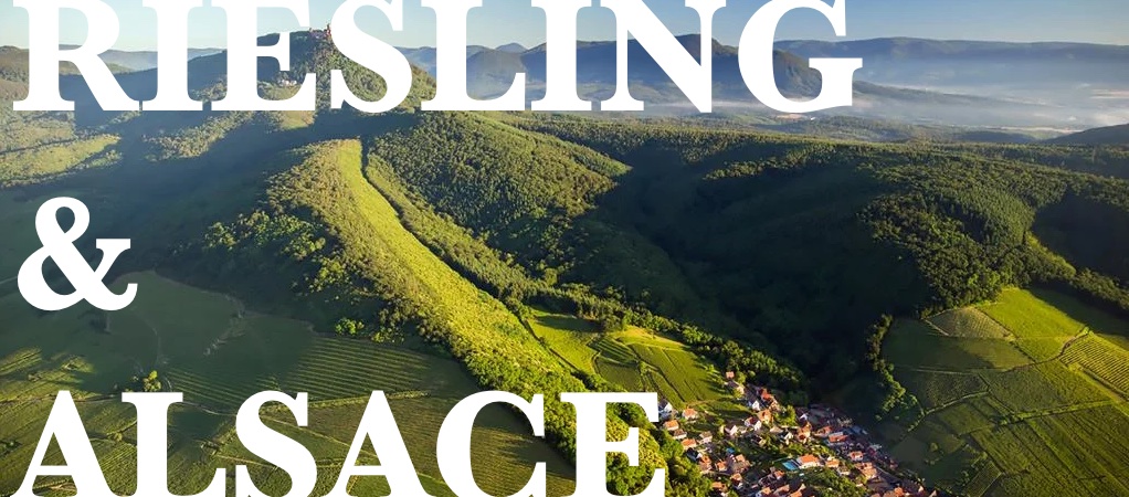 Aeriel view of Alsace Vineyards over Allimant Laugner by Tristan Vuano